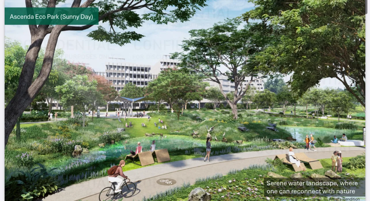 Eco park with mature trees and shaded walkways
